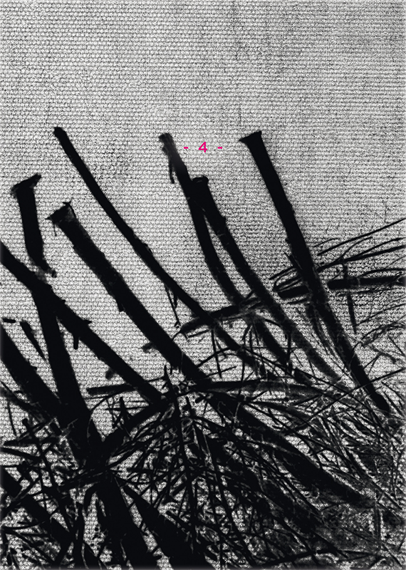 http://www.frederickcarnet.com/files/gimgs/180_livre4-1.jpg