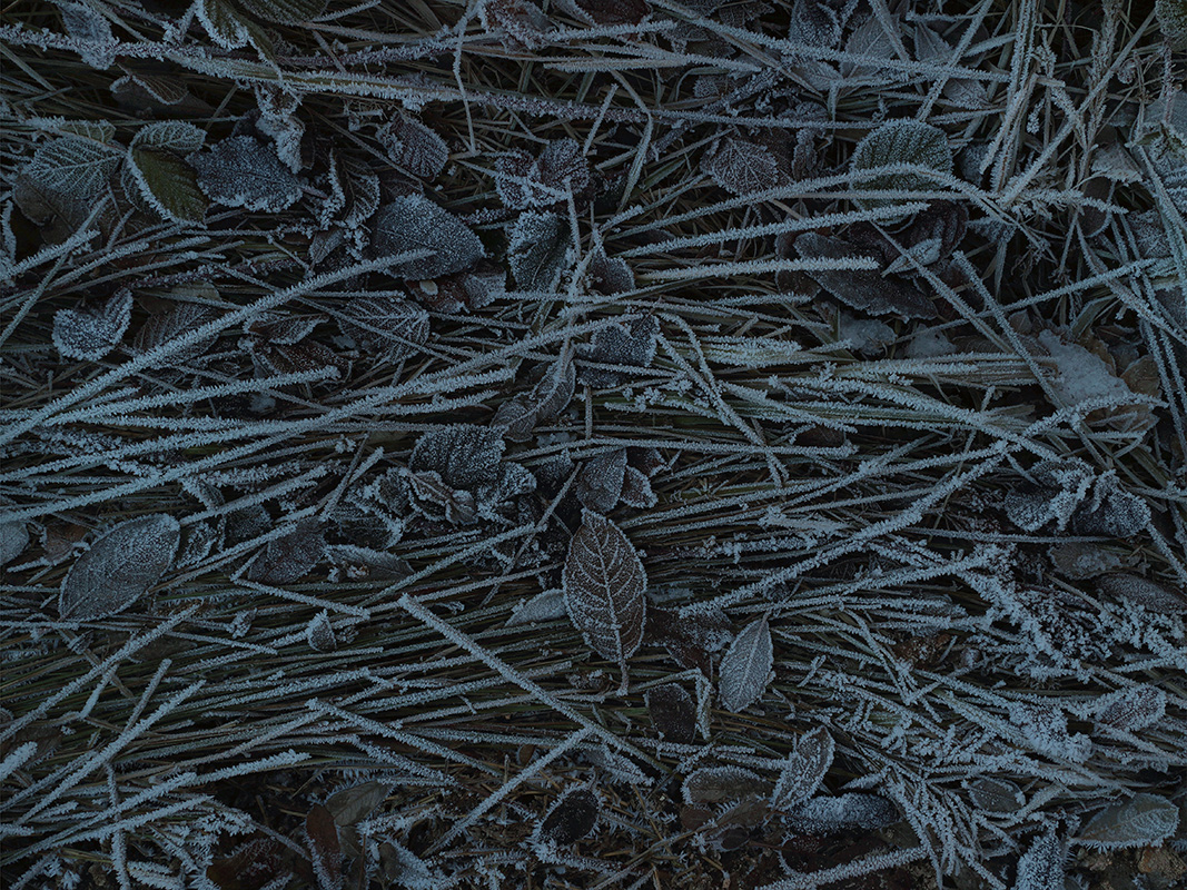 http://www.frederickcarnet.com/files/gimgs/205_allemagnedecembre201633.jpg