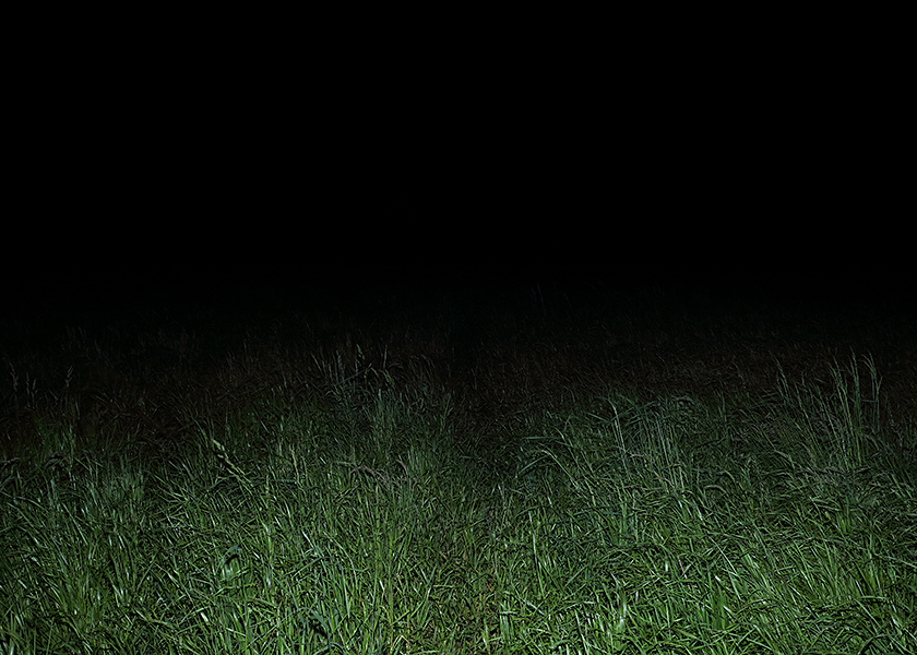 http://www.frederickcarnet.com/files/gimgs/219_whenthenightfalls010.jpg