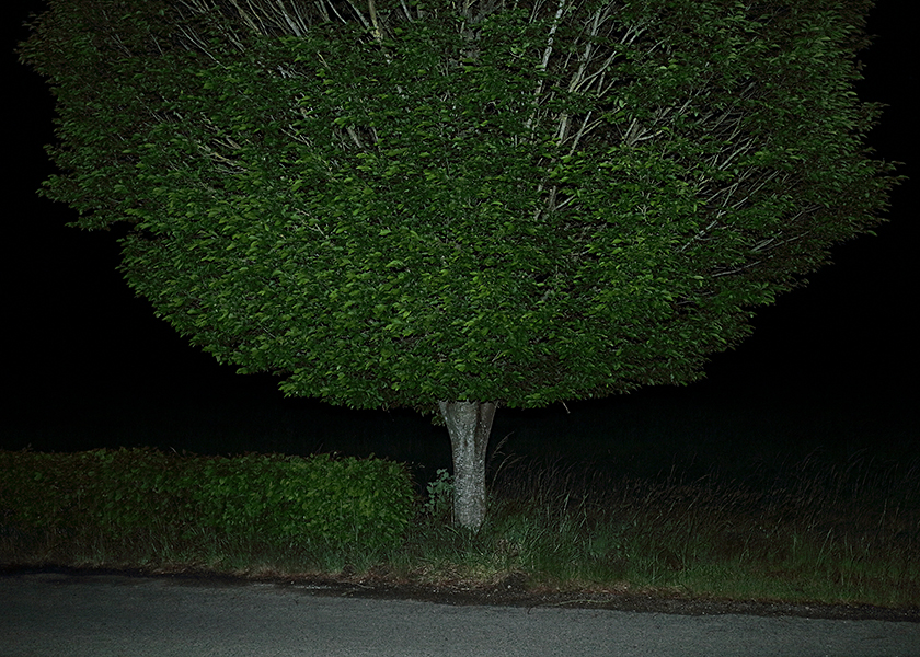 http://www.frederickcarnet.com/files/gimgs/219_whenthenightfalls062.jpg